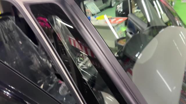 動画を再生する