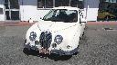 MITSUOKA VIEWT