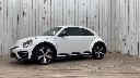 VOLKSWAGEN THE BEETLE