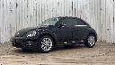 VOLKSWAGEN THE BEETLE