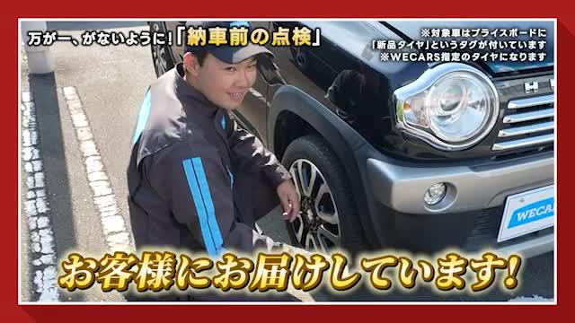 動画を再生する