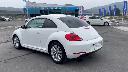 VOLKSWAGEN THE BEETLE