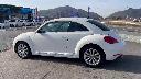 VOLKSWAGEN THE BEETLE