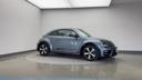 VOLKSWAGEN THE BEETLE