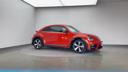 VOLKSWAGEN THE BEETLE