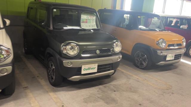 動画を再生する