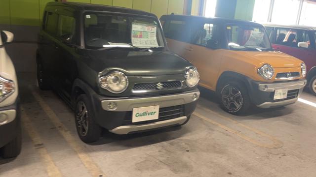 動画を再生する