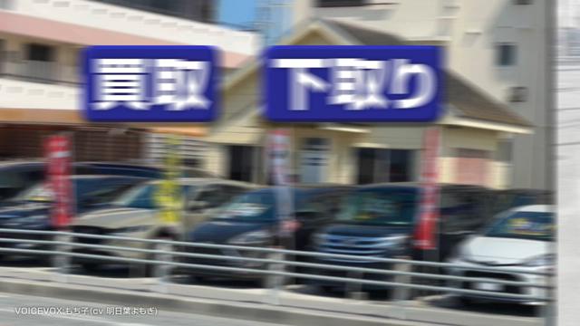 動画を再生する