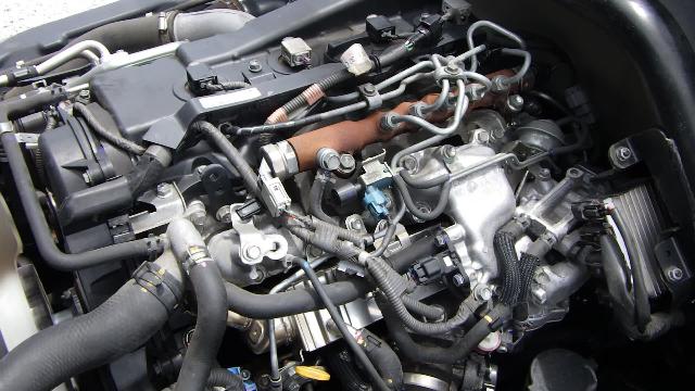 動画を再生する