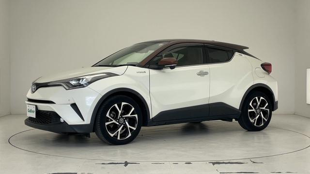 動画を再生する