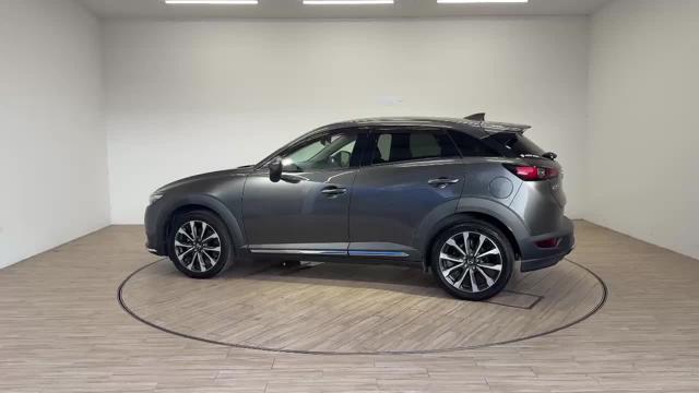 動画を再生する