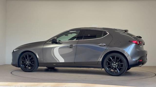 動画を再生する