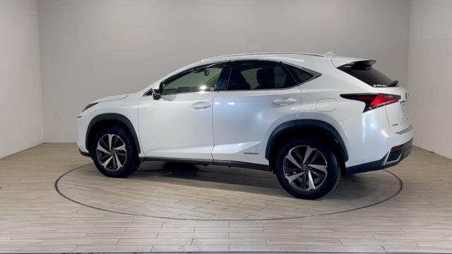 動画を再生する