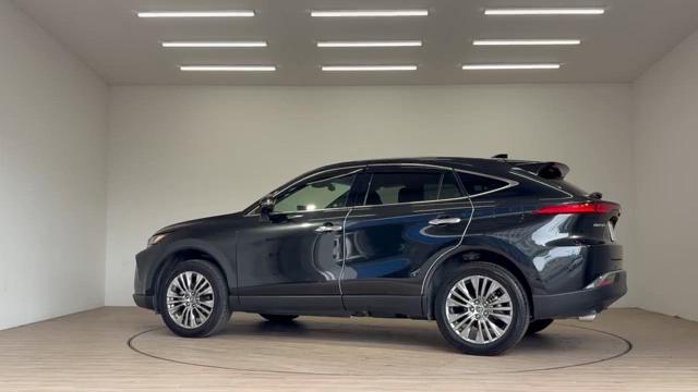 動画を再生する