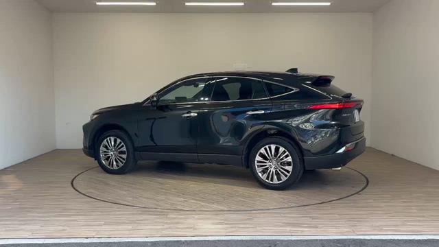 動画を再生する