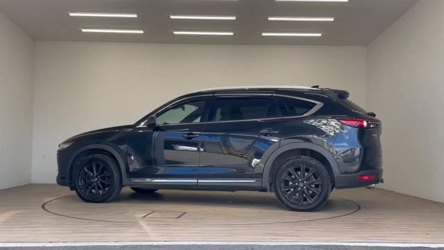 動画を再生する