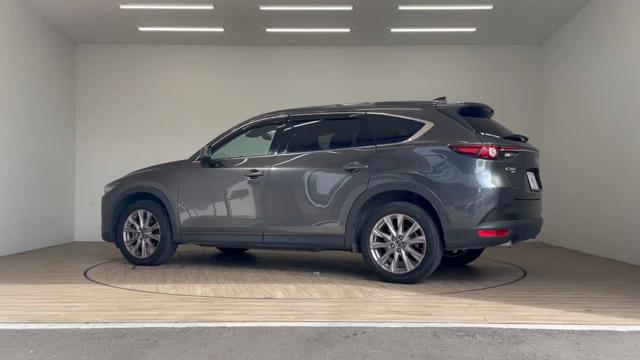 動画を再生する