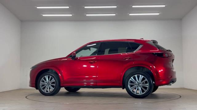 動画を再生する