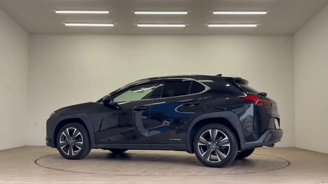 動画を再生する