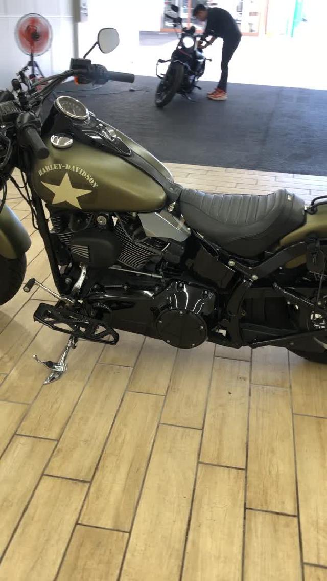 ＨＡＲＬＥＹ－ＤＡＶＩＤＳＯＮ ＦＬＳＳ ソフテイルスリムＳ