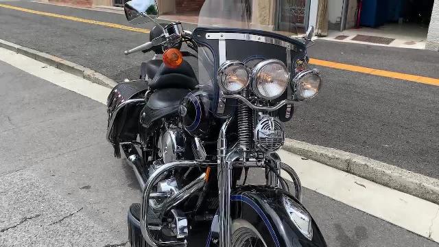 ＨＡＲＬＥＹ－ＤＡＶＩＤＳＯＮ ＦＬＳＴＳ ヘリテイジスプリンガー