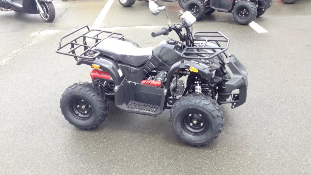 バギー バギー ＡＴＶ 四輪バギー｜ＧＤ ＴＲＩＫＥ｜新車・中古バイクなら【グーバイク】