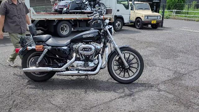 ＨＡＲＬＥＹ－ＤＡＶＩＤＳＯＮ ＸＬ１２００Ｌ スポーツスターロー エンジンガード ＥＴＣ キャリア シーシーバー バックレスト｜Ｂａｃｋｆｌｏｗ  ＭＯＴＯＲＣＹＣＬＥ｜新車・中古バイクなら【グーバイク】