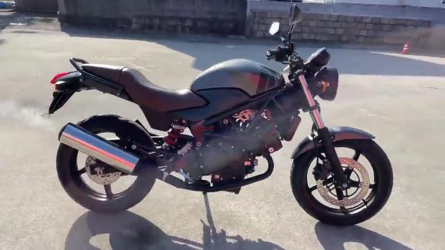 人気が高い Honda VTR250 SE スペシャルエディション ガソリンタンク