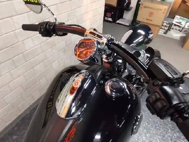 ＨＡＲＬＥＹ－ＤＡＶＩＤＳＯＮ ＦＸＳＢ ブレイクアウト ２０１６年