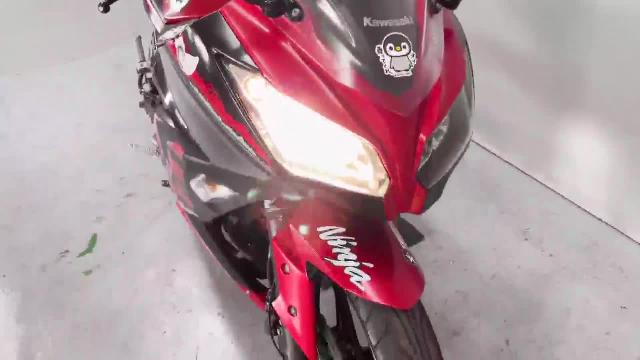 カワサキ Ｎｉｎｊａ ２５０ ＥＸ２５０Ｌ ２０１７年モデル ＡＢＳ スペシャルエディション ノーマルコンディション｜ＧＡＲＡＧＥ－Ｊ イオ  武雄店｜新車・中古バイクなら【グーバイク】