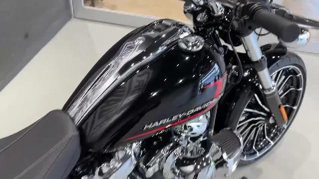 ＨＡＲＬＥＹ－ＤＡＶＩＤＳＯＮ ＦＸＢＲ ソフテイル ブレイクアウト