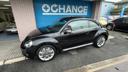 VOLKSWAGEN THE BEETLE